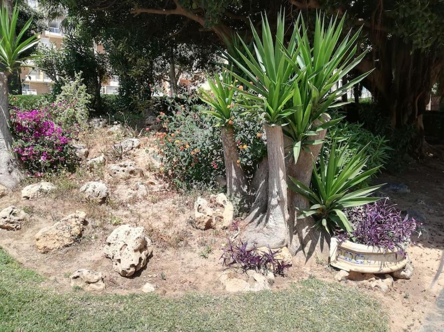 Acogedor,Apartamento.Piscina, Vistas, Terraza Benalmádena Dış mekan fotoğraf